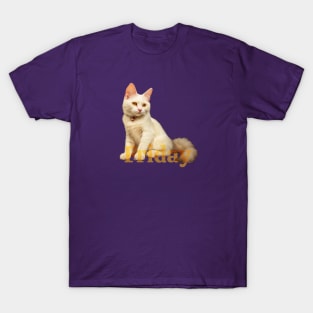 Friday cat!. Already there! T-Shirt